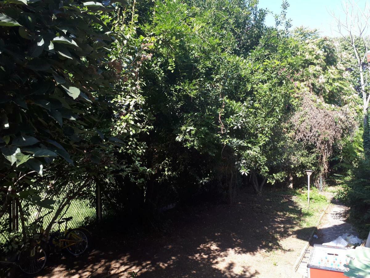 La Casa Di Mango E Pistacchio Hotel Segrate Buitenkant foto